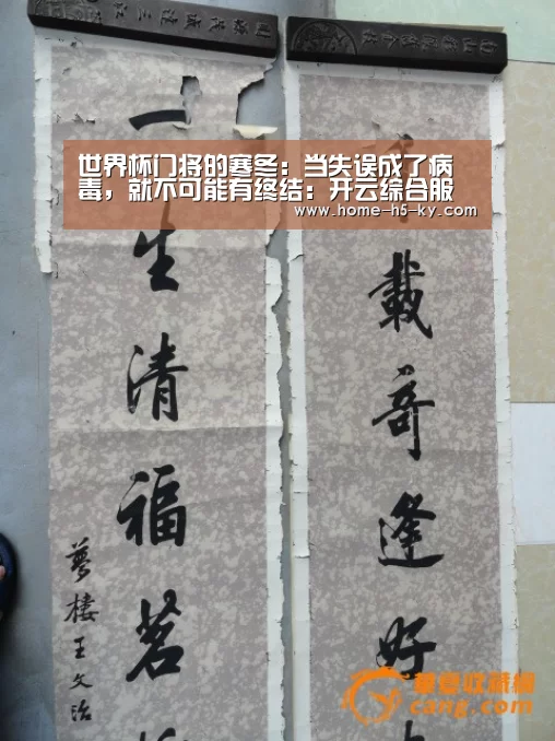 世界杯门将的寒冬:当失误成了病毒,就不可能有终结:开云综合服务(图1) 开云官方平台