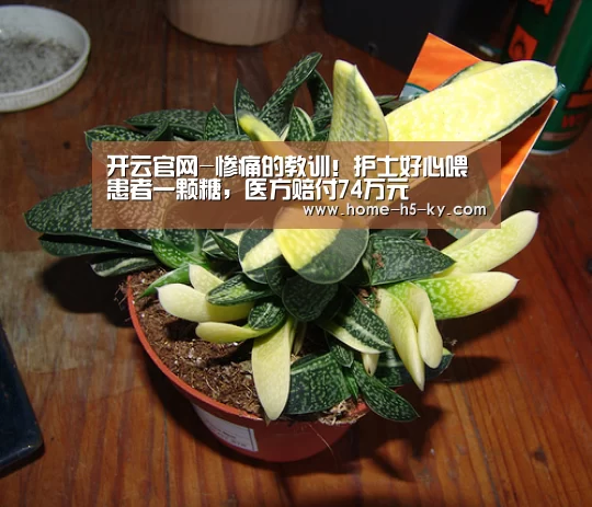 开云官网-惨痛的教训!护士好心喂患者一颗糖,医方赔付74万元(图2) 开云综合服务